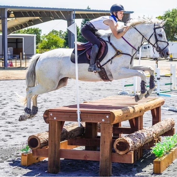 Meet your Posher, Ellie - Picture 3 of 4